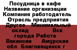 Посудница в кафе › Название организации ­ Компания-работодатель › Отрасль предприятия ­ Другое › Минимальный оклад ­ 14 000 - Все города Работа » Вакансии   . Амурская обл.,Благовещенск г.